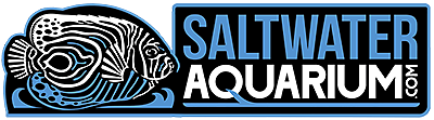 SaltwaterAquarium.com