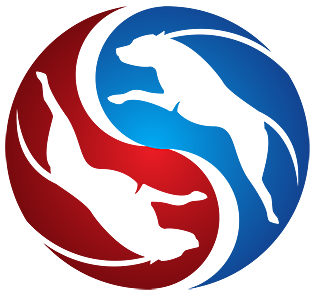 doubledogrun.com