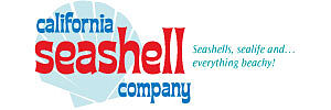 www.caseashells.com