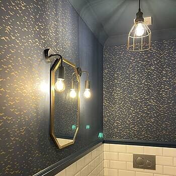 Sleek Edison Wall Light