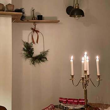 Swan Neck Dome Wall Light - 8 Inch