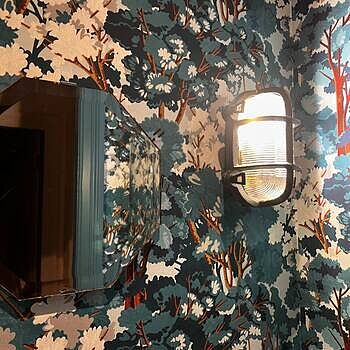 Bulkhead Outdoor & Bathroom Oval Wall Light - 6 Inch