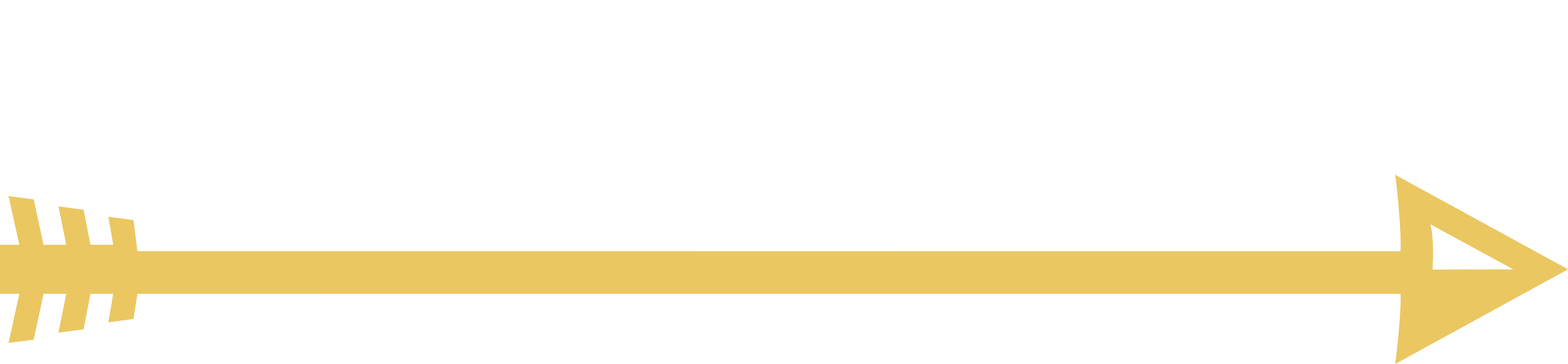 trust-cache.myshopify.com