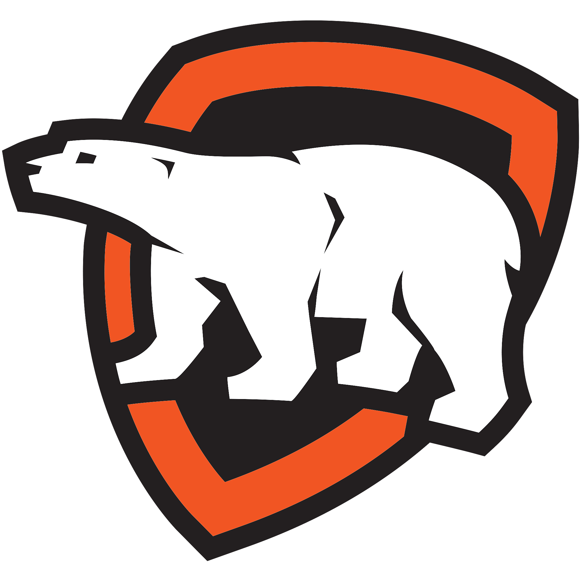 ArcticShield