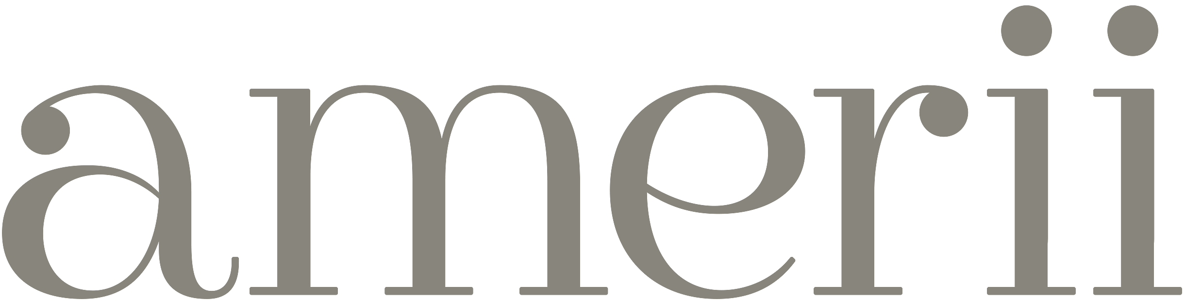 www.amerii.com