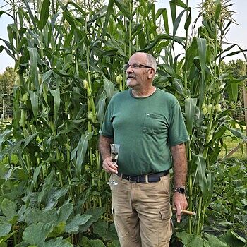 Mauveless Hybrid Popcorn | Gurney's Seed & Nursery Co. – Gurneys