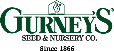 Gurney's
