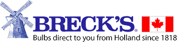 Brecks CA