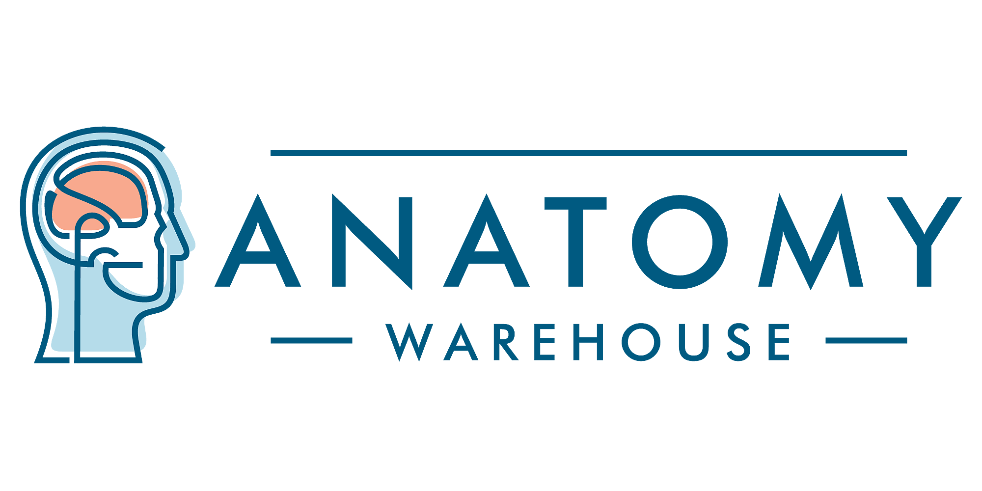 Anatomy Warehouse