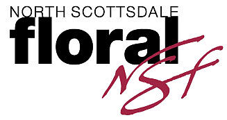 northscottsdalefloral.com