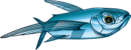 LiveBait.com