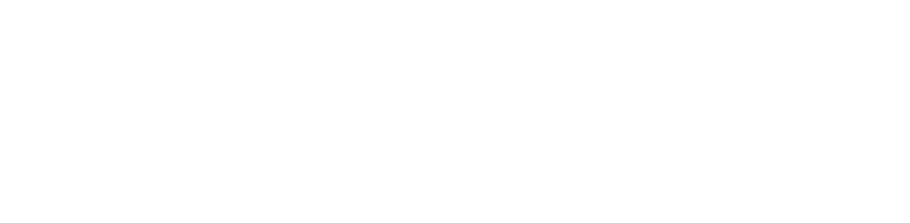 anitch®