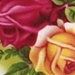 brokenchinajewelryshop.com