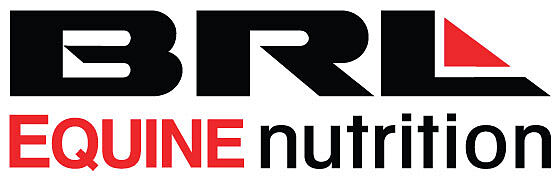 brlequinenutrition.myshopify.com