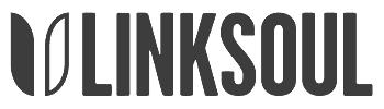 LINKSOUL