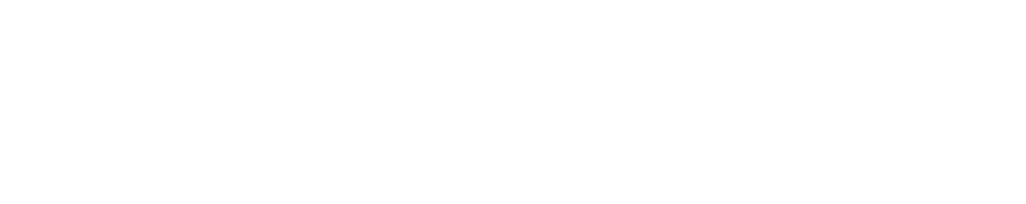Kiwi Sleep