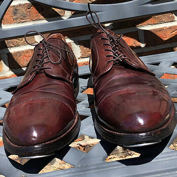 Alden Men's 2160 - Straight Tip Blucher - Color 8 Shell Cordovan