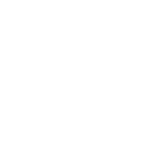 Lokai