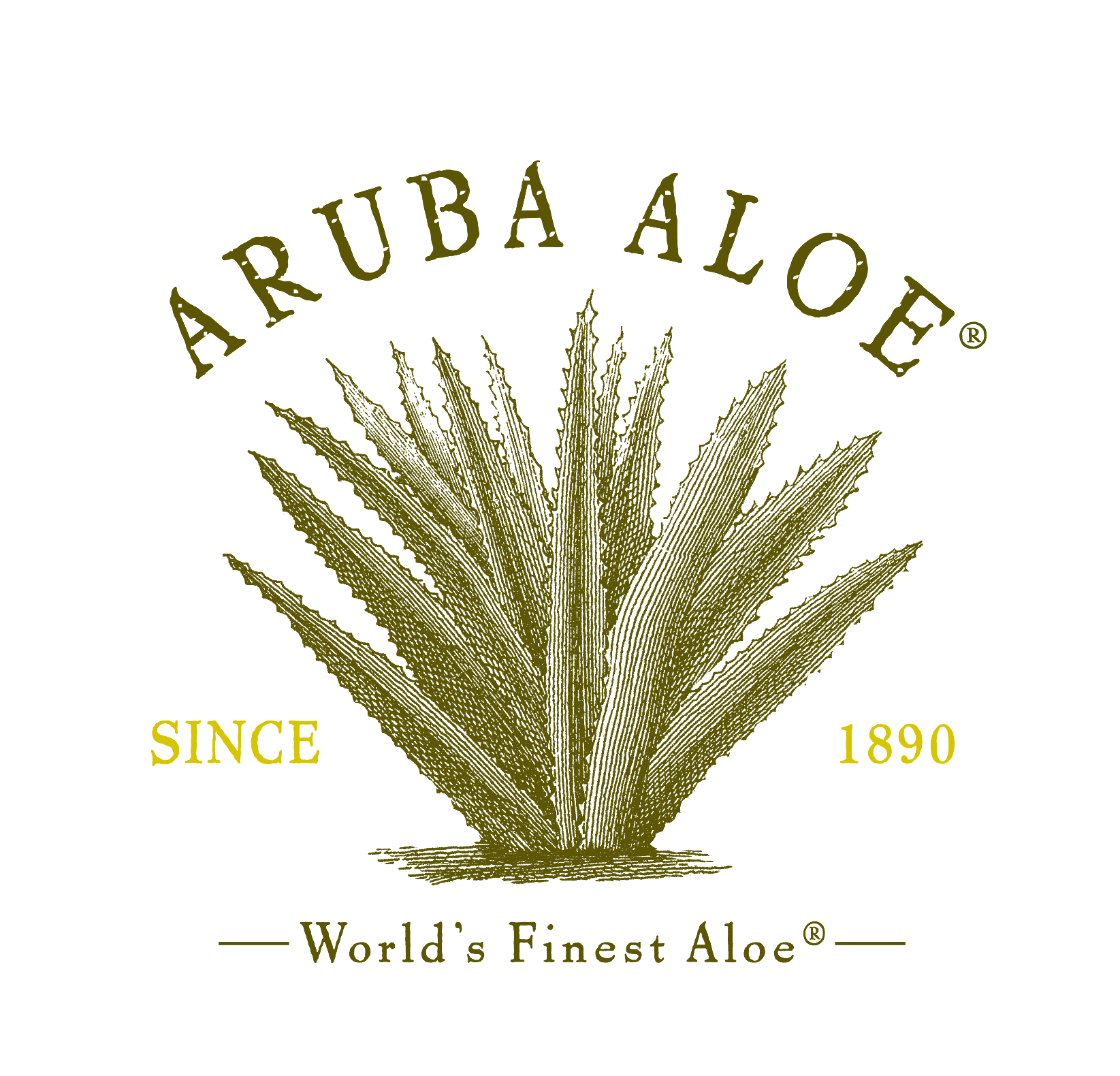 Aruba Aloe