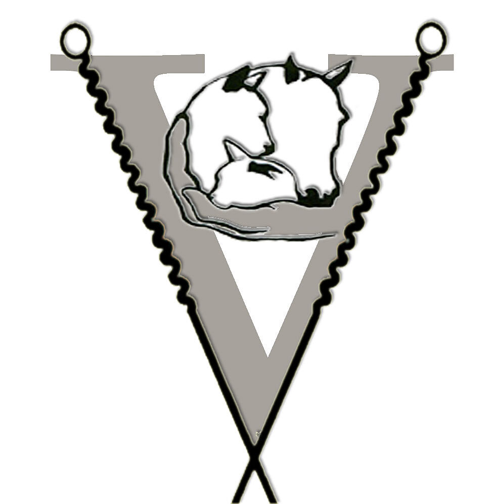 Vet-TCM