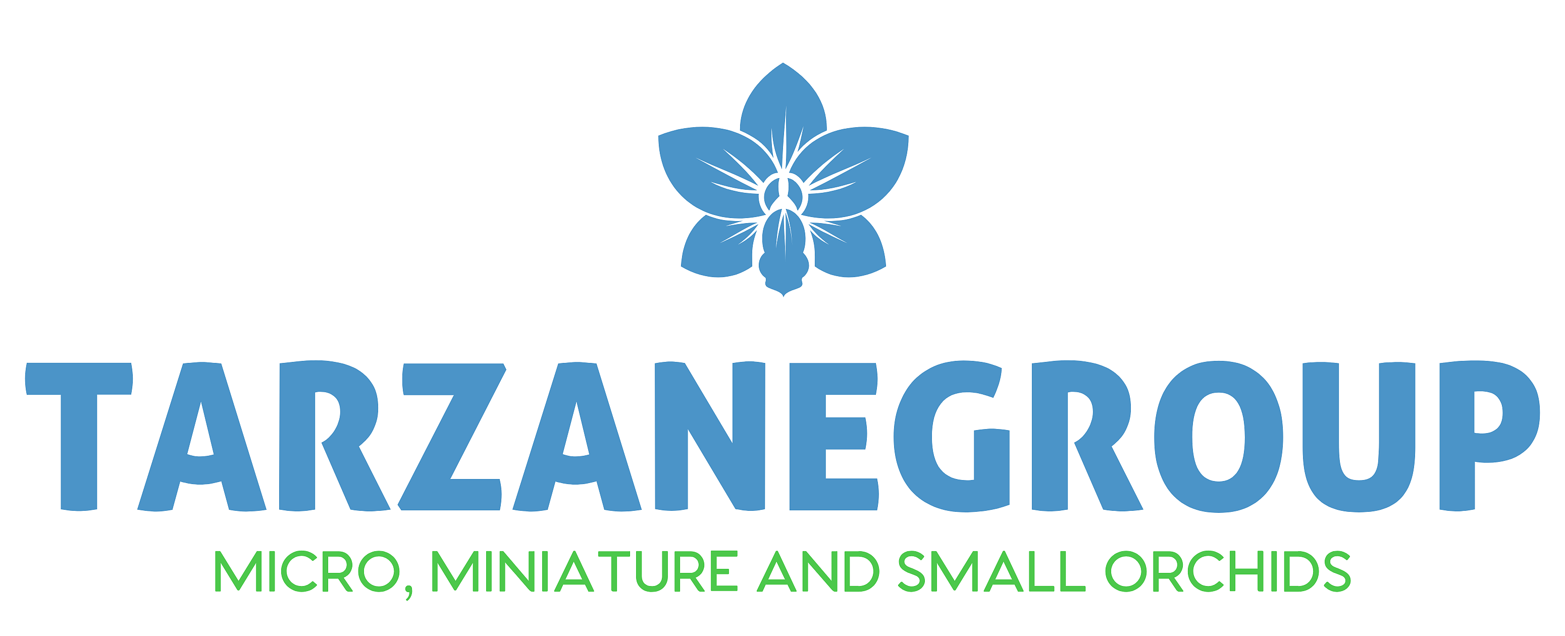 tarzanegroup.com