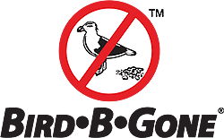 birdbgone.com