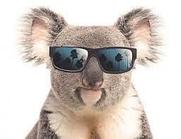 aussiediscreet.com