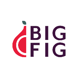OLD SITE Big Fig Mattress - Magento FE
