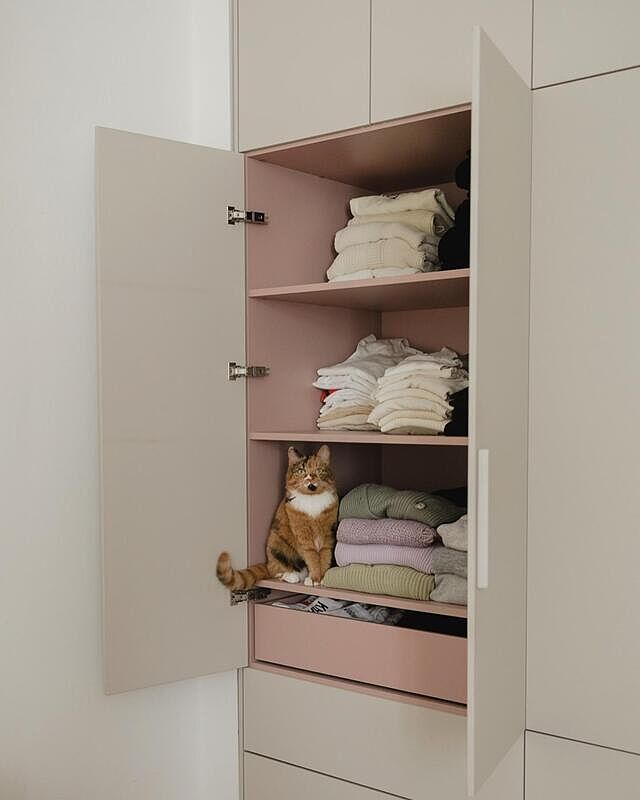 (Werbung/ AD) Attention Tiger has a big announcement for you! There is a big summer sale at tylko - get 41% off with ClaudiSummer 🍦 Design your own shelf, bedside table (love mine too), wardrobe or any storage you need! My wardrobe is still one of my fav pieces at home - it’s great to have such a spacious wardrobe which keeps everything tidy and organized. But I also have to make sure there is always a free spot for Tiger (swipe to see here fav spots). 
BTW 41% off is the highest promo code and the code ClaudiSummer is valid on all #tylko products and till 31.08. for min. order value 500 euro.
#mytylkowardrobe #bedroomdesign #bedroom #interiodesign #catsandinterior