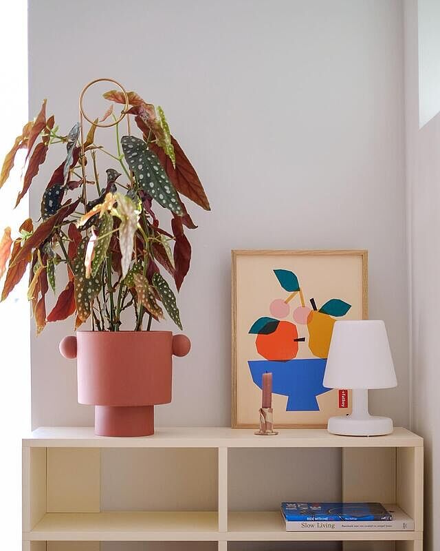 New corner 🌿| Helemaal blij met het dit nieuw hoekje in de woonkamer. Het kastje zorgt er niet alleen voor dat de kabels zijn weggewerkt, het maakt de ruimte ook gelijk functioneel en gezelliger 🤎

Echt NicNol stijl zo 👌🏻 Alles op mijn eigen eigenwijze manier, ik hou er van 😁
•
•
•
•
•
#nicnolstyle #woonkamerinspiratie #woonkamer #livingroom #livingroominspiration #slowliving #colorpopyourhome #scandicinterior #touchofvintage #hyggehome #nordicinterior #interiør #scandichome #nordichome #interiordesign #interior #instainteriors #myinterior #myflinders #interiorstyling #interiorinspo #scandinavianhome #scandinavianstyle #interieurinspiratie #scandinavischwonen #vtwonenbijmijthuis #myflinders