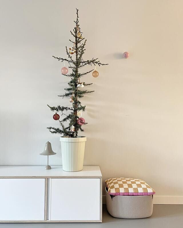 Ons ceder boompje. 
Ook hier sluipt er steeds meer kerst in huis, zo gezellig💕 
Fijne dag!