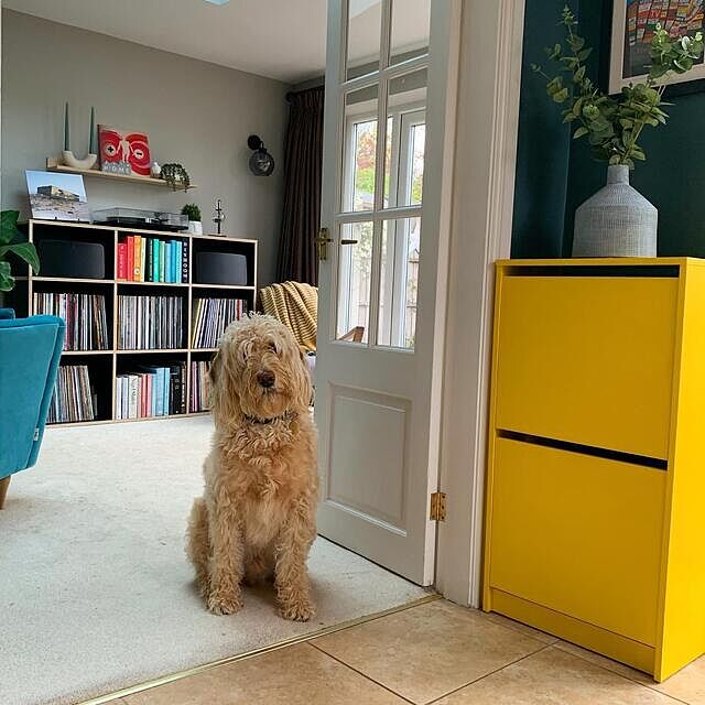 I’m bringing some sunshine to the grid on this damp Monday morning with our ikeauk shoe cupboard which I painted earlier this year. What a difference it’s made painting it a vibrant, happy colour! It brings a smile to my face every time I walk into this room and might  now be a little bit obsessed with painting everything yellow in sight. If it doesn’t make you smile, paint it a fun colour! Swipe for a before. 

instahoodwatch - Monday morning
mydailyhomesquare - paint it
mydailyrenovation- what a difference

Cupboard - valsparpaintuk in English Primrose
Walls - farrowandball in Inchyra Blue and Purbeck Stone
______________________________

#mydailyhomesquare #rockmyhomestyle #housetohomestory #showusyourgaff #myhomeonthegrid #rainbowhomemonthly #thehousefanatics #caringtoshareyourfeed #daretoshareyourhome #homeinspodaily #littlehomeglowup #myhousethroughalens #myspaceanddecor #upstylemepretty #walltowallstyle #mycolourfulinterior #mymidlandsmanor #myrenostory #myrevampreveal #myseasonalstyling #ourprettyproject #mydailyrenovation  #thedogandthedecor
#dogsdecordesign
#homeswithhounds
#pets_in_decor