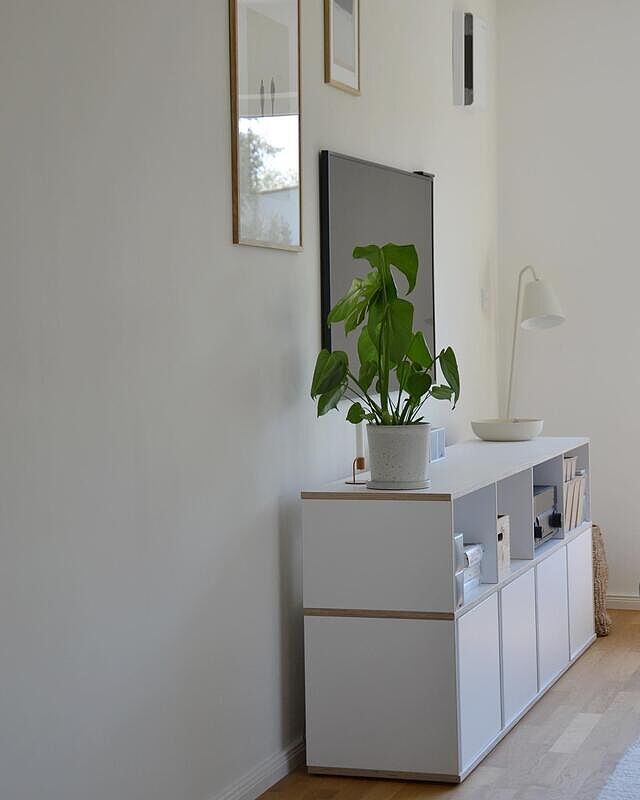 Unsere letzten Tage vor der Elternzeit. Dann warten sechs gemeinsame Wochen auf uns. Ich kann euch gar nicht sagen wie sehr ich mich schon darauf freue. Startet gut in die neue Woche! 

#einfachwohnen #mylvgrm #livingroominspo #wohnzimmer #sideboard #einrichtungsideen #livingroomdesign #tvboard #samsungtheframe #tv #tvwand #artgallery #cornerofmyhome #designliebe #nordicdesign #minimalisthome #minimalwohnen #minimalist #japandi #simplicity #howwelive #senseofhome #solebich #solebenwir #umbau #renovieren #clutterfreeliving #happymonday (Werbung ohne Auftrag)

solebich germaninteriorbloggers senseofhome_official howwelive_official iic__official decohomemag