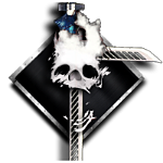 flawlessraiders.net