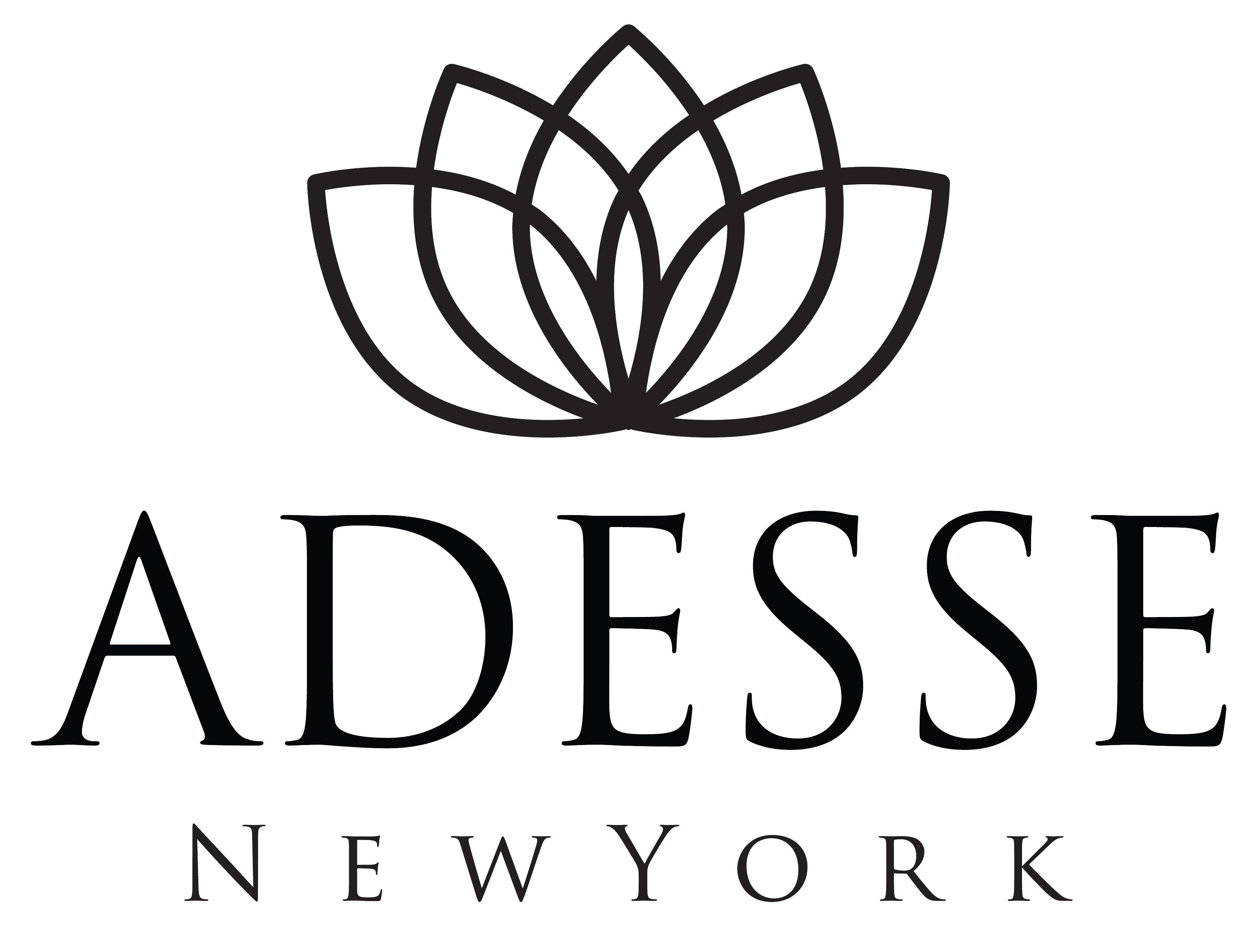 Adesse Shopify