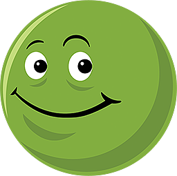 mrhempflower.com