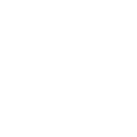 Adidas Cases US