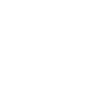 Shopify Mustang CA