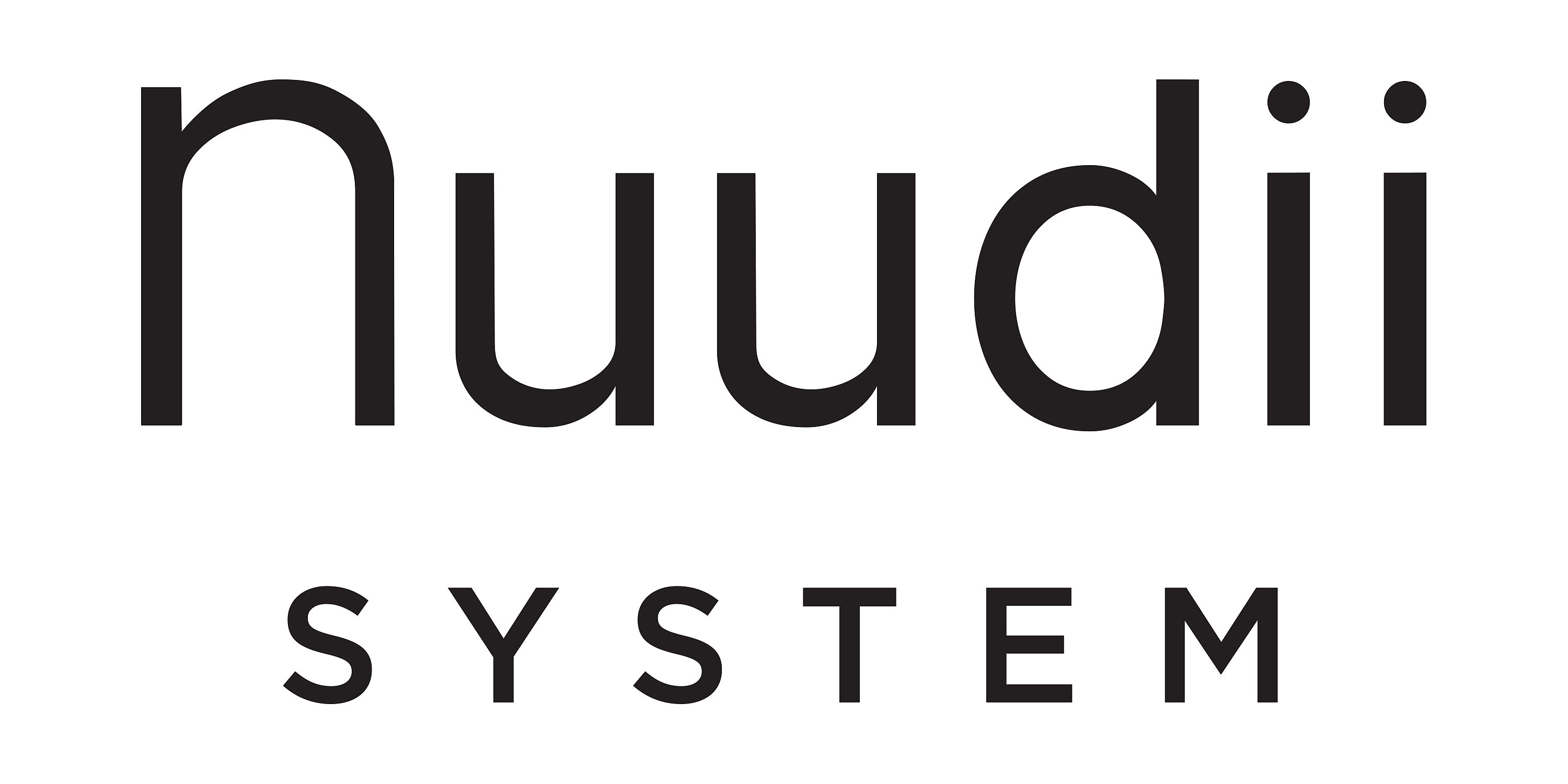 nuudiisystem.com