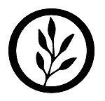 Cinnamon Tree Organics