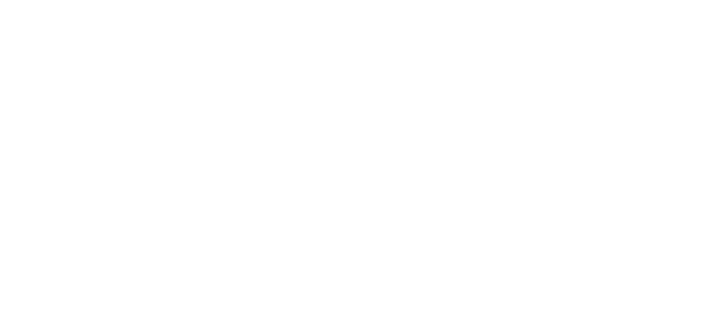 Desantis Holster