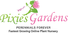 www.pixiesgardens.com