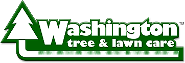 Washington Tree Service