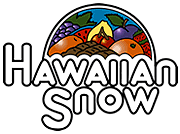 shaveicesupplies.com