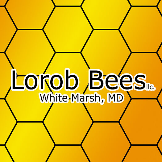 Lorob Bees
