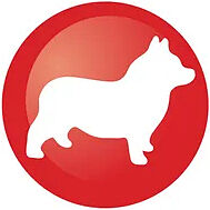 us.corgi.co.uk