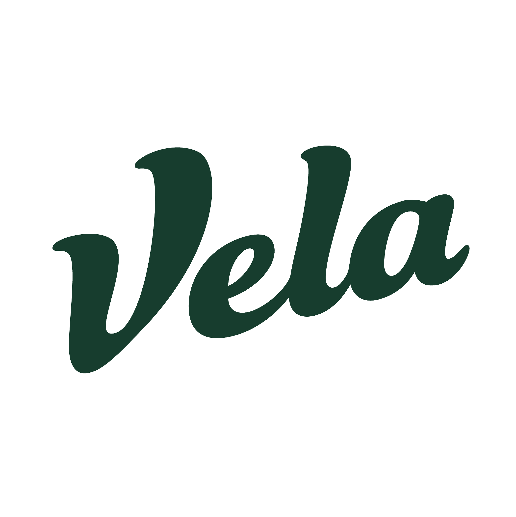 Vela Bikes