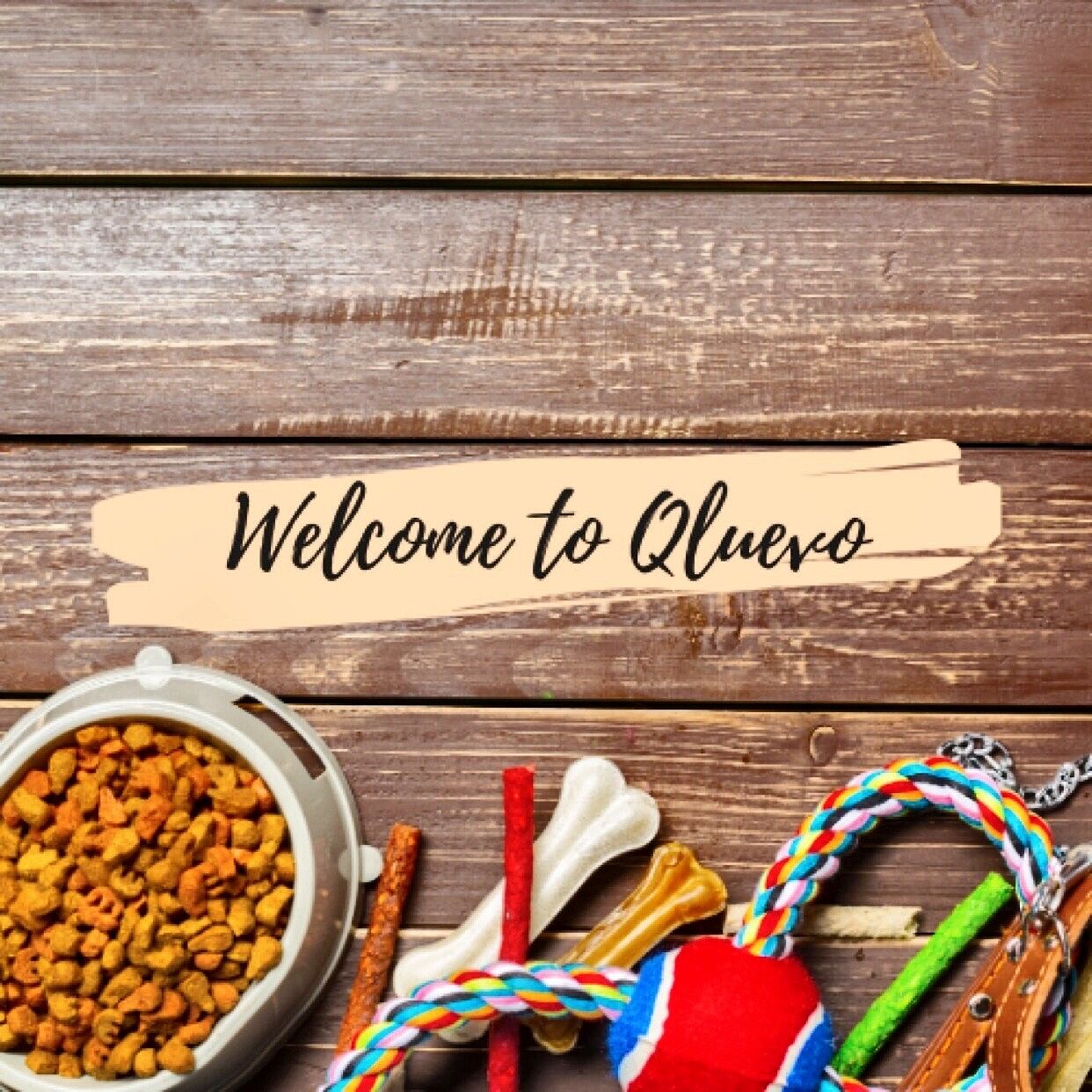 qluevo.com