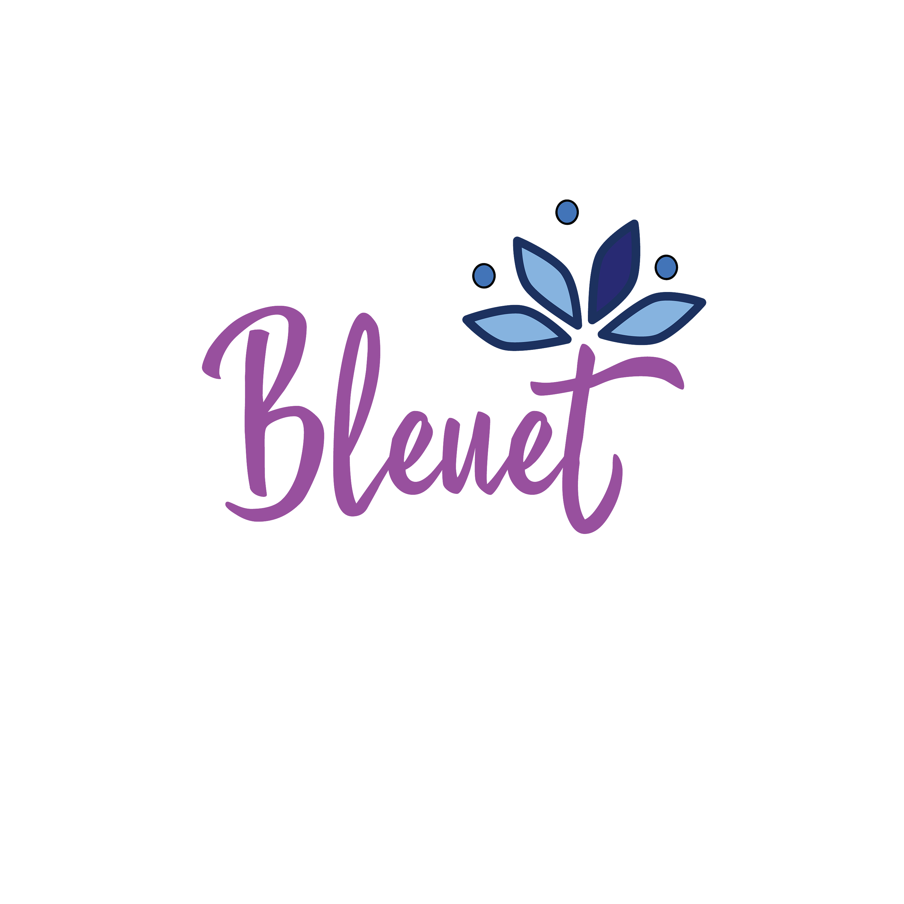 bleuetgirl.com
