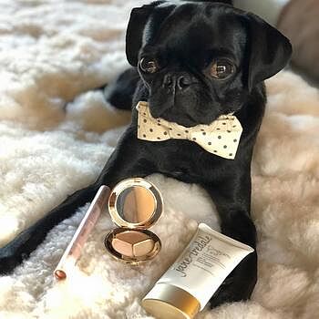 Dream Tint® Tinted Moisturizer SPF 15